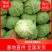 【精品甘蓝】规格2～3斤~基地直供量大从优全国发货