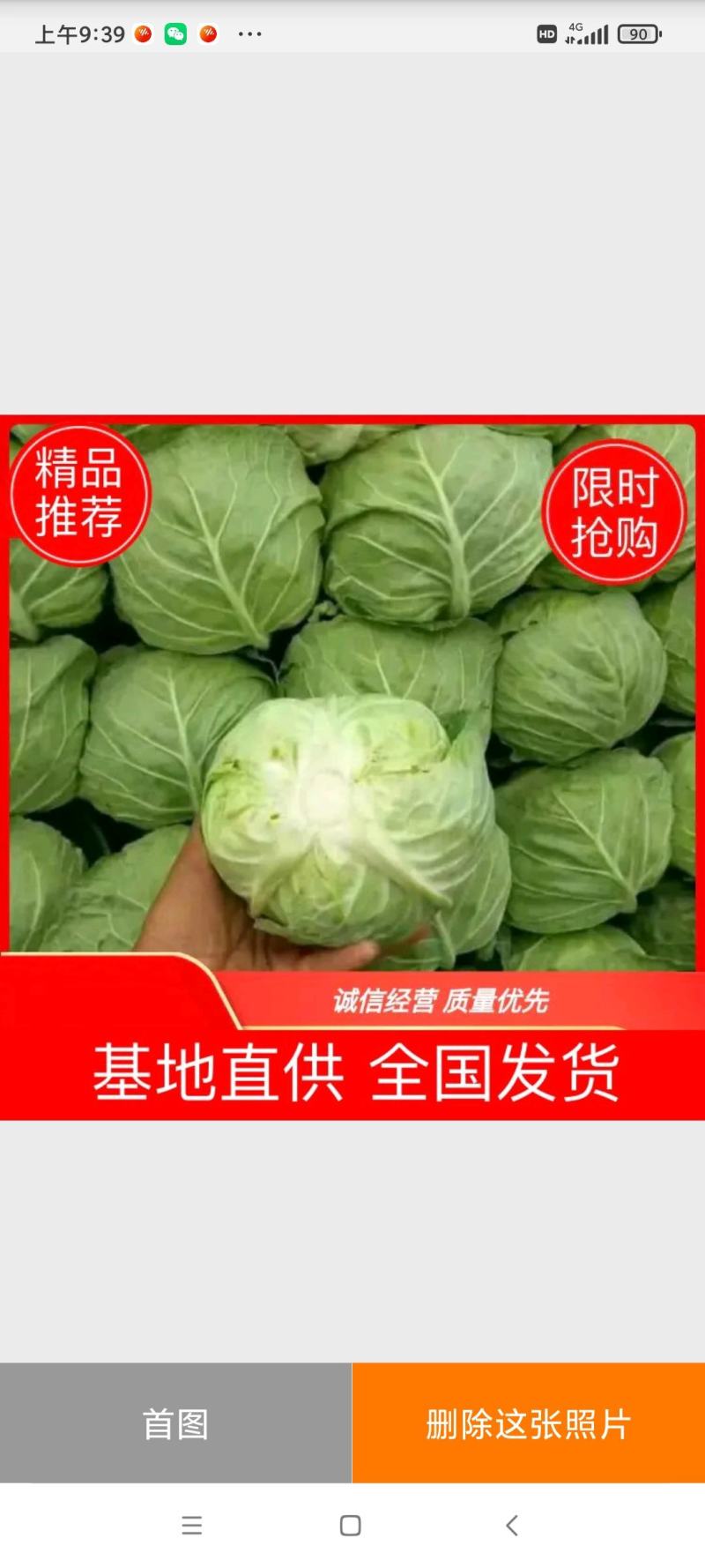 【精品甘蓝】规格2～3斤~基地直供量大从优全国发货