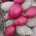 小紫薯，越南紫薯，整车冷链出货，支持一件代发！