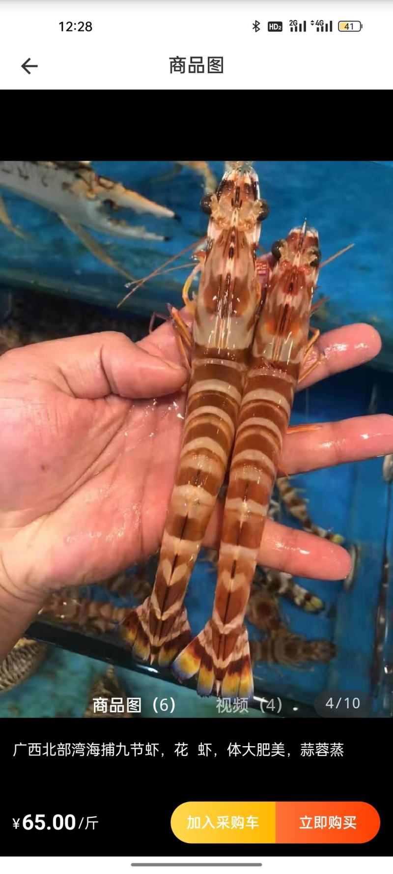 斑节虾