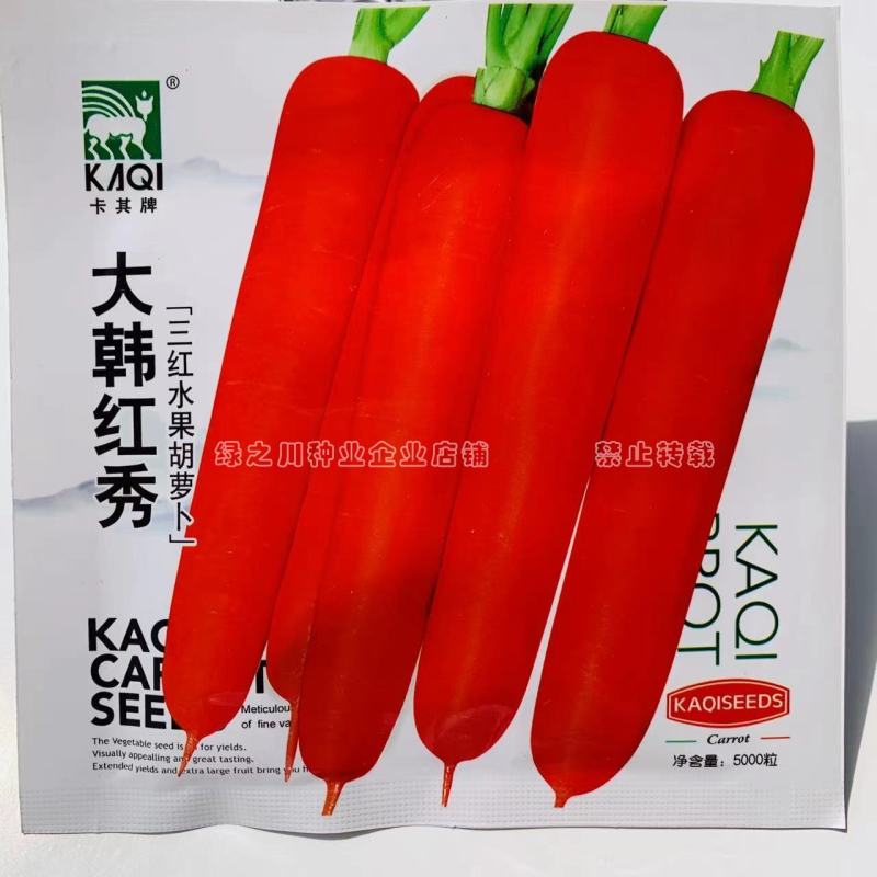 大韩红秀口感型三红胡萝卜种子耐暑性强胡萝卜种籽基地专用