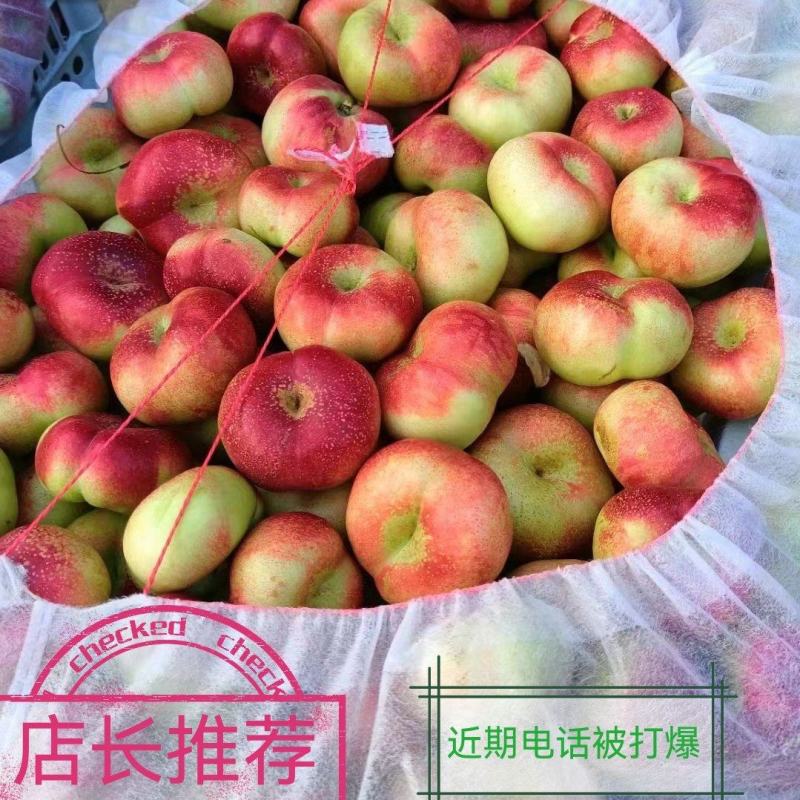 油蟠桃36--3产地一手货源，套袋不套袋的大量有货