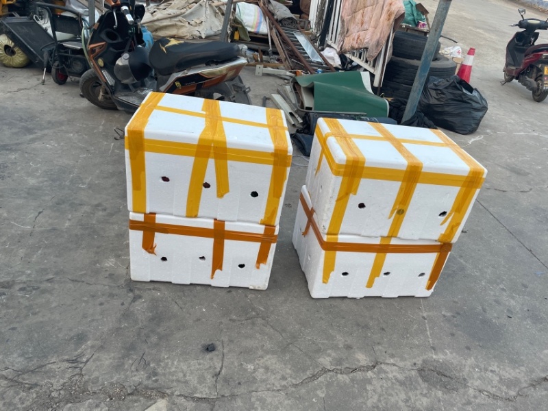 蒜苗，本公司常年出售各种各样蔬菜苗，欢迎全国各地询问与采