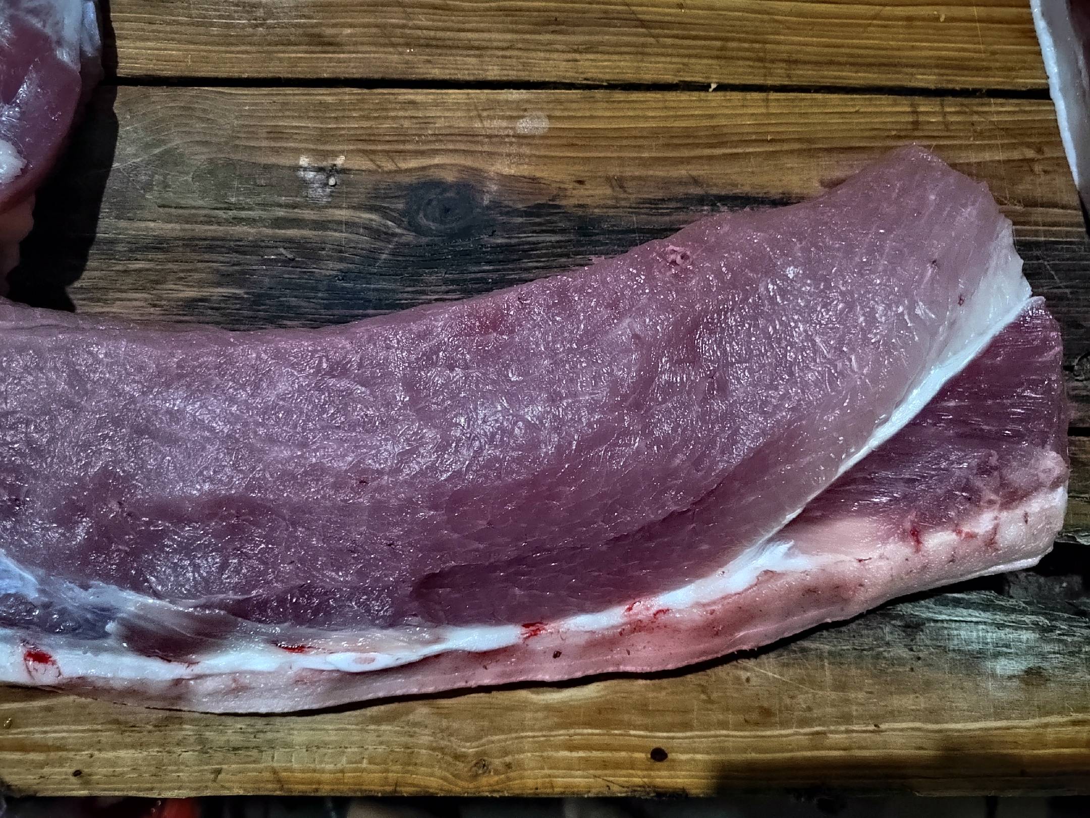 生猪肉质切片图