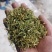贵州野生金银花，大量供应质量保证欢迎采购合作共赢