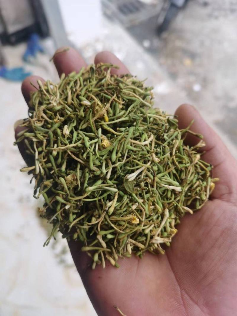 贵州野生金银花，大量供应质量保证欢迎采购合作共赢