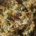 贵州野生金银花，大量供应质量保证欢迎采购合作共赢