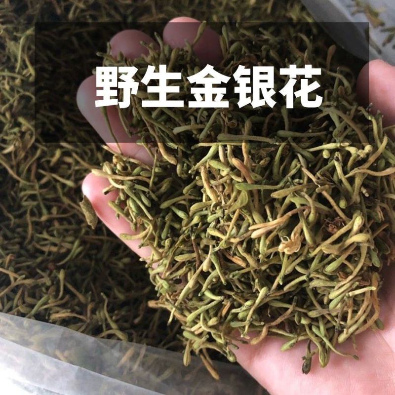 金银花山银产地直发贵州高山金银花无硫磺自然晾干！