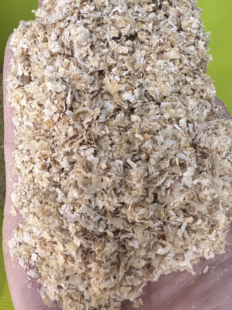 烘干麸皮