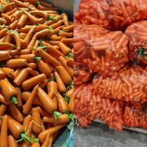 胡萝卜渣加工厂养殖场食品厂胡萝卜，次品胡萝卜大量供应
