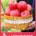 洛川红富士苹果新鲜皮薄酸甜多汁应季水果一件代发整箱批发