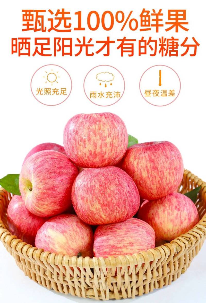 洛川红富士苹果新鲜皮薄酸甜多汁应季水果一件代发整箱批发