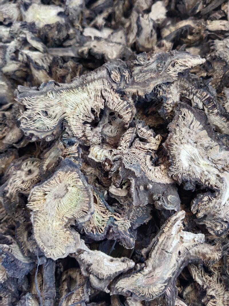 升麻产地一手货源，真实拍照薄利多销有现货，24小时内发货
