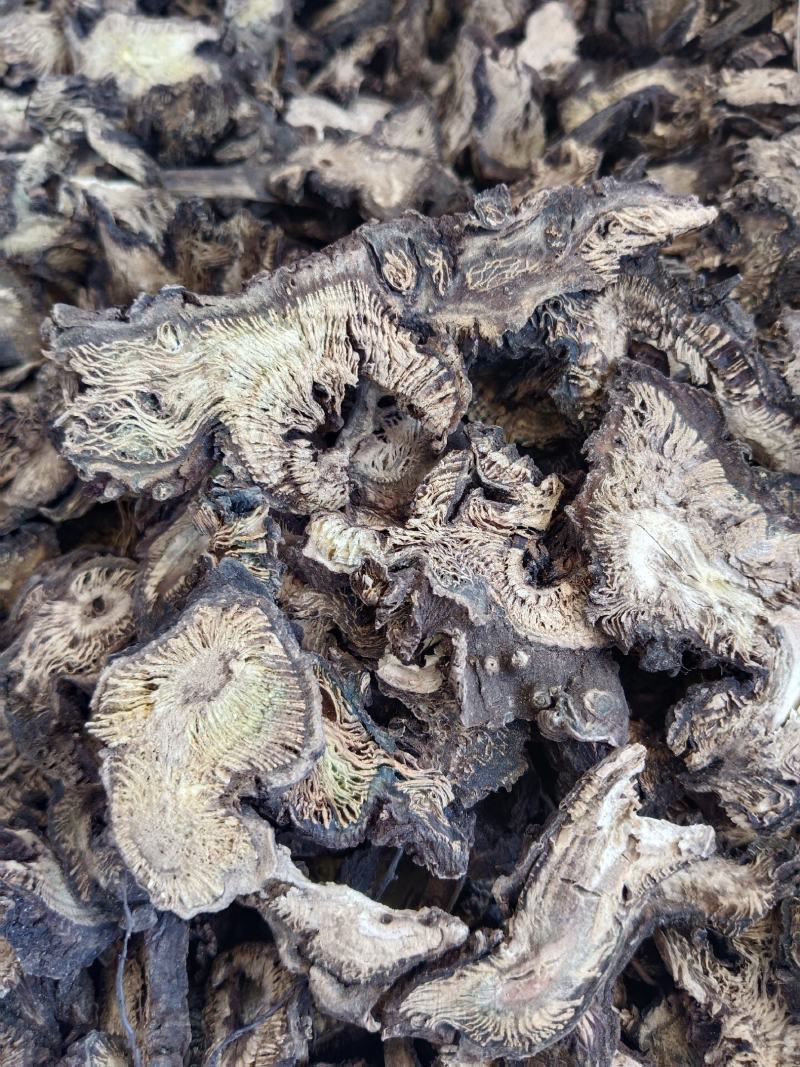 升麻产地一手货源，真实拍照薄利多销有现货，24小时内发货