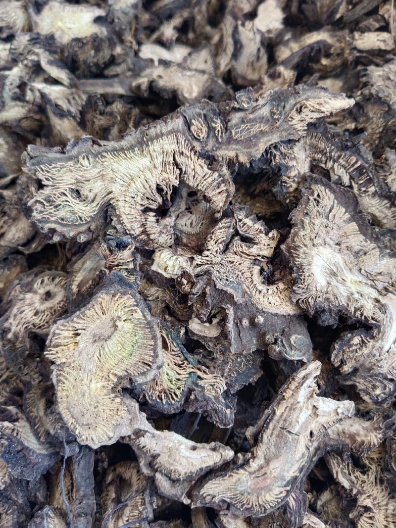 升麻产地一手货源，真实拍照薄利多销有现货，24小时内发货