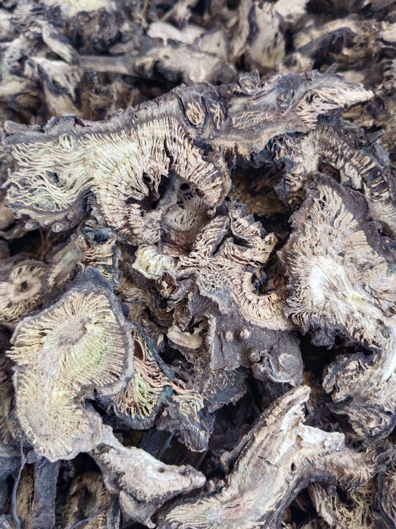 升麻产地一手货源，真实拍照薄利多销有现货，24小时内发货