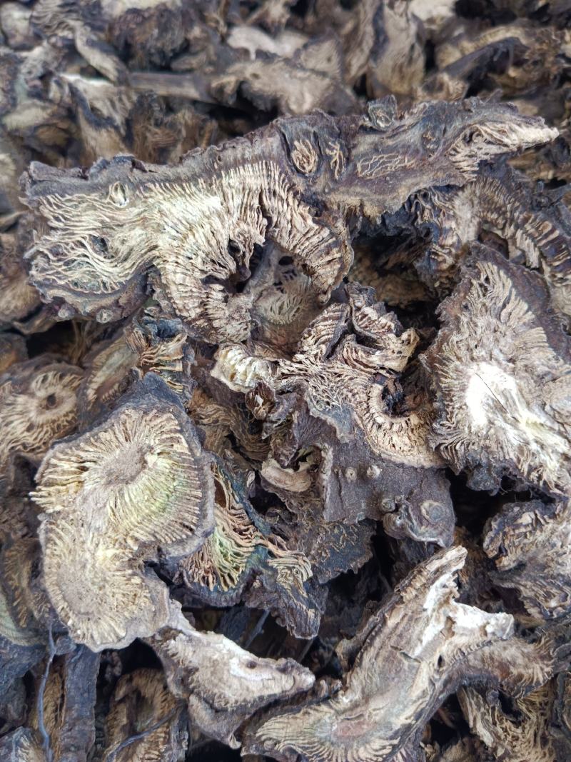 升麻产地一手货源，真实拍照薄利多销有现货，24小时内发货