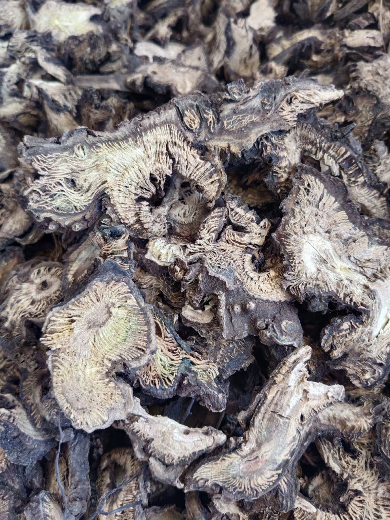 升麻产地一手货源，真实拍照薄利多销有现货，24小时内发货