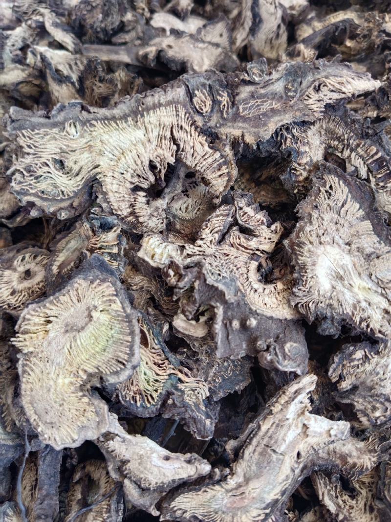 升麻产地一手货源，真实拍照薄利多销有现货，24小时内发货