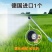 农用高压喷枪黑旋风可调雾化气涡流打药机喷雾器防风水枪喷药