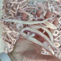 鱿鱼条小飞燕
