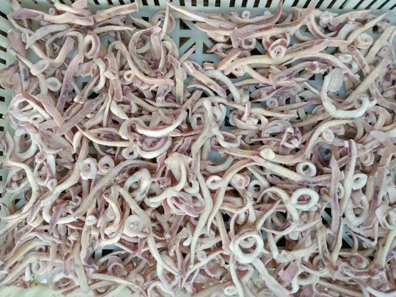 鱿鱼条小飞燕