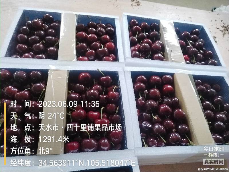 精品甘肃天水高山大樱桃口感鲜美大量上市全国包邮欢迎订购