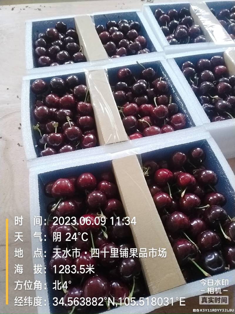 精品甘肃天水高山大樱桃口感鲜美大量上市全国包邮欢迎订购