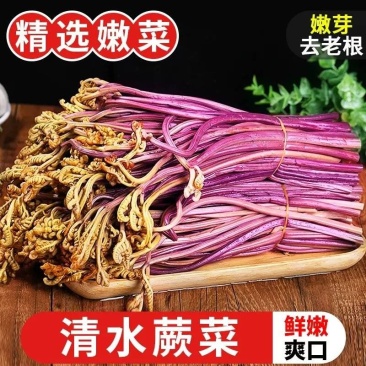 整箱清水蕨菜撅菜装新鲜龙爪菜凉拌火锅麻辣烫下饭菜食材包邮