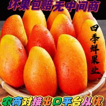 【一件代发】贵妃芒产地直发电商出口从多汁无丝坏果包赔