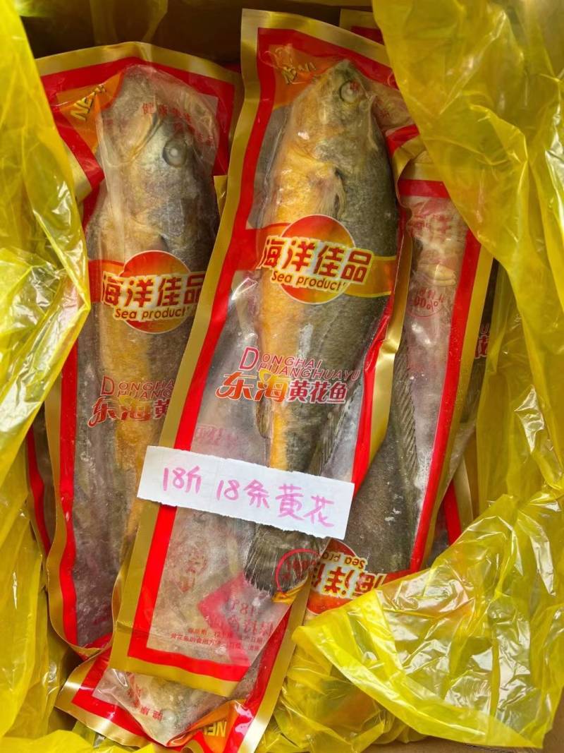 大黄花鱼东海精品真空独立包装50件起批量大从优
