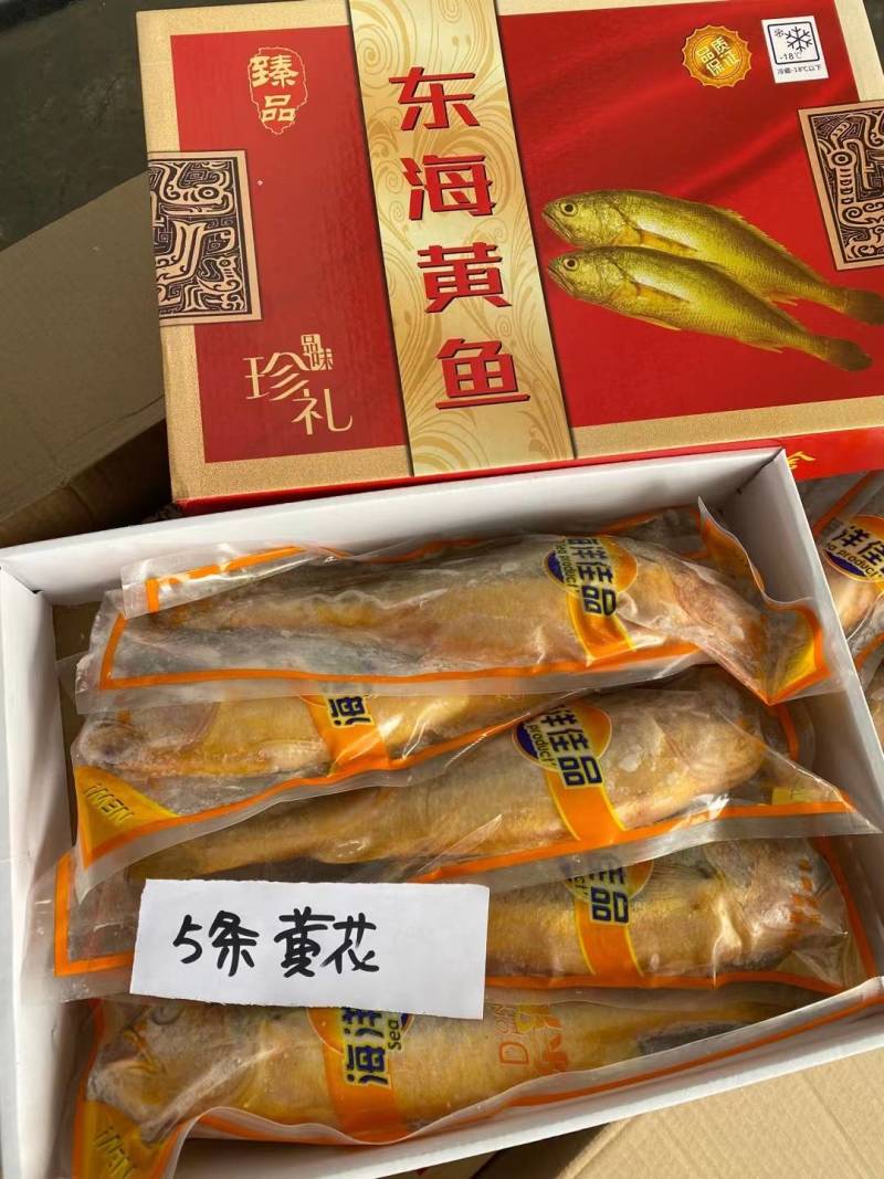 大黄花鱼东海精品真空独立包装50件起批量大从优