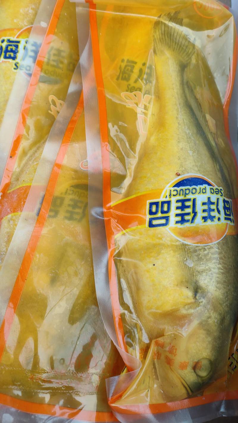 大黄花鱼东海精品真空独立包装50件起批量大从优