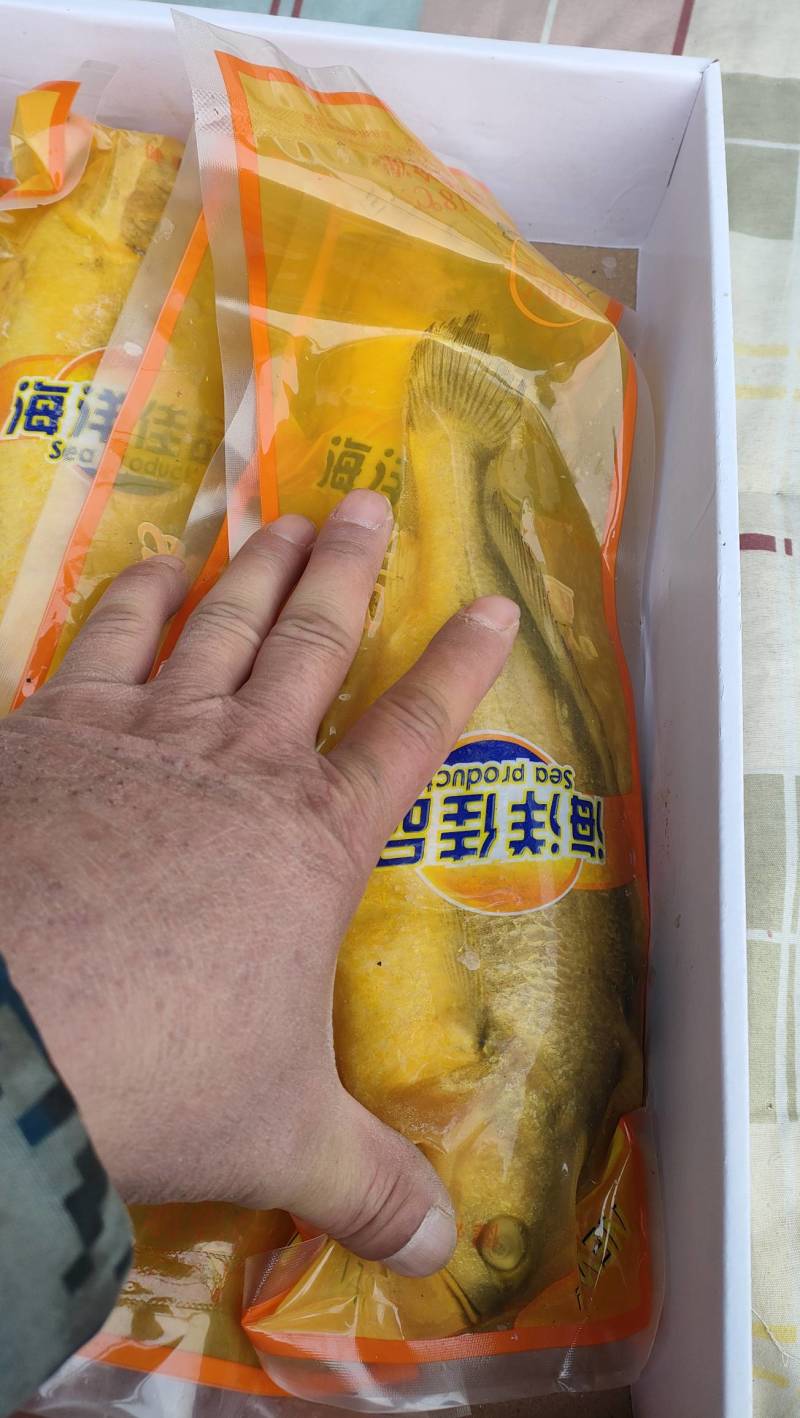 大黄花鱼东海精品真空独立包装50件起批量大从优