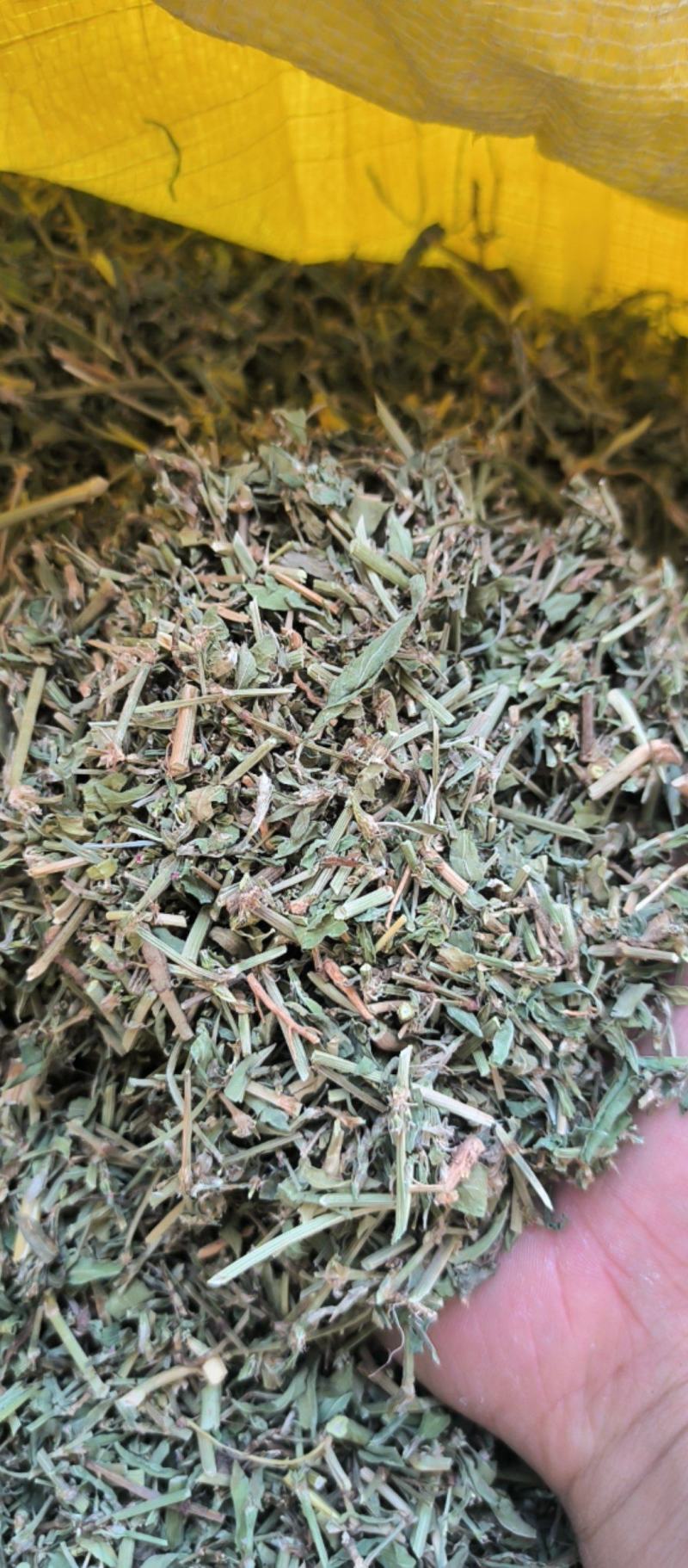 萹蓄中药材批发萹蓄质量保证量大从优