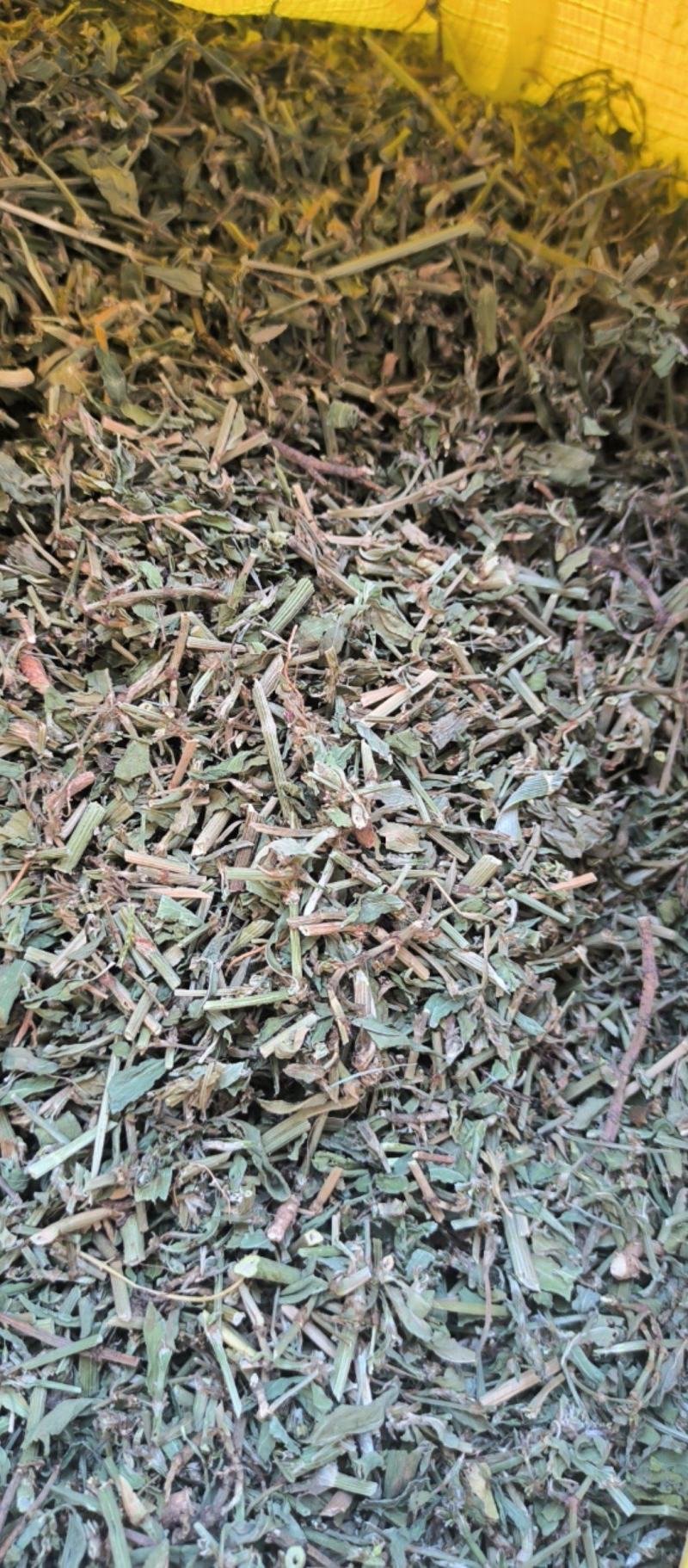 萹蓄中药材批发萹蓄质量保证量大从优
