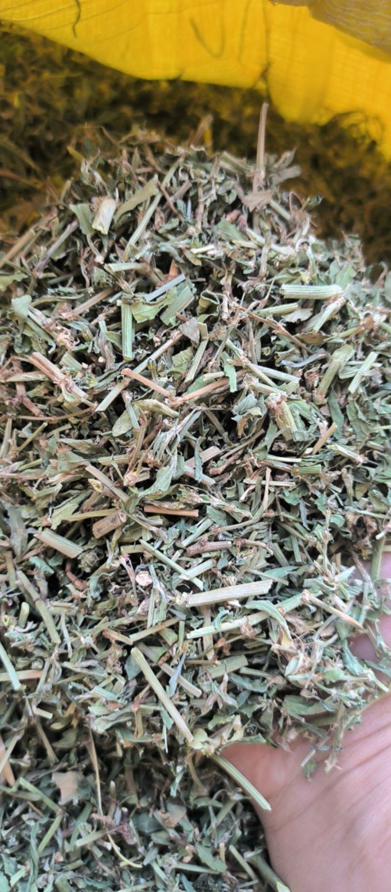 萹蓄中药材批发萹蓄质量保证量大从优