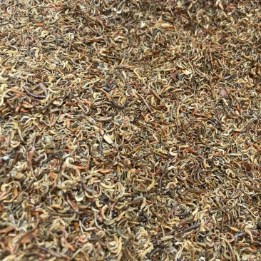 湖北蜈蚣皮蜈蚣爪子无杂物品质保证诚信经营欢迎联系