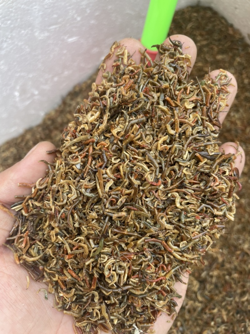 湖北蜈蚣皮蜈蚣爪子无杂物品质保证诚信经营欢迎联系