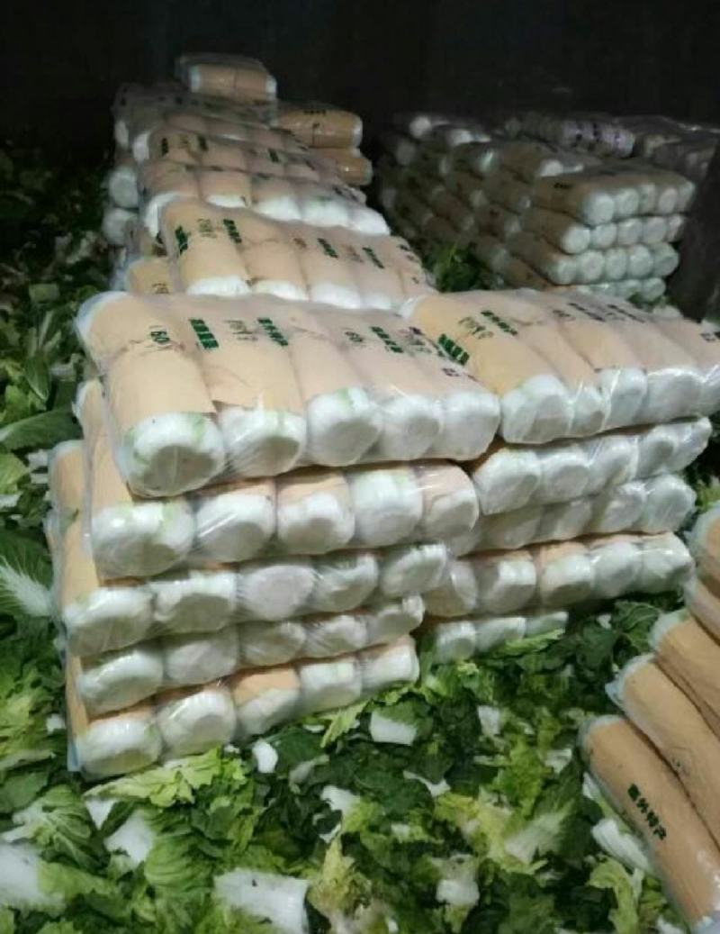 坝上黄心大白菜3-5斤玲珑黄黄心大白菜