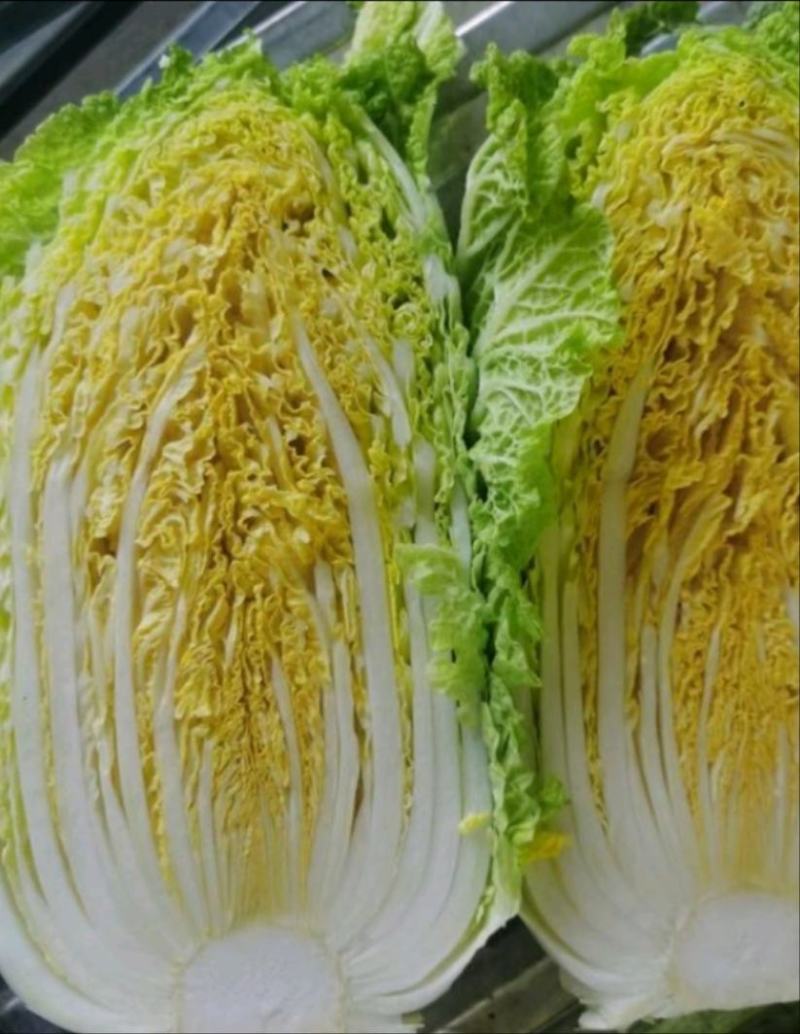 坝上黄心大白菜3-5斤玲珑黄黄心大白菜