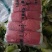 坝上黄心大白菜3-5斤玲珑黄黄心大白菜