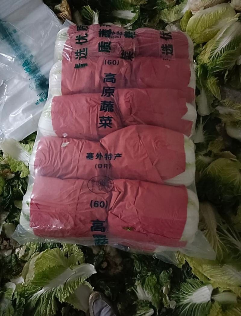 坝上黄心大白菜3-5斤玲珑黄黄心大白菜