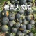 板栗南瓜，贝贝南瓜大量有货，产地供应，一条龙服务，