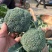 西兰花3指根