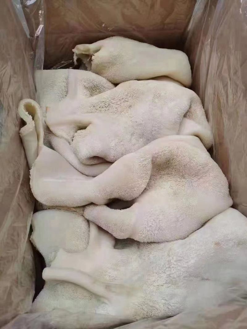 牛肚