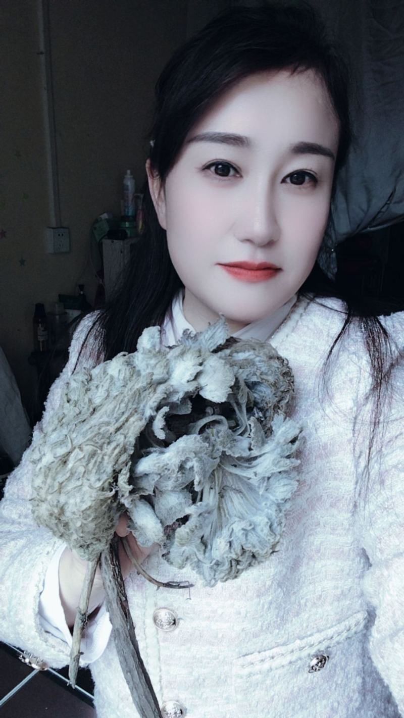 新鲜雪莲