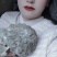 新鲜雪莲