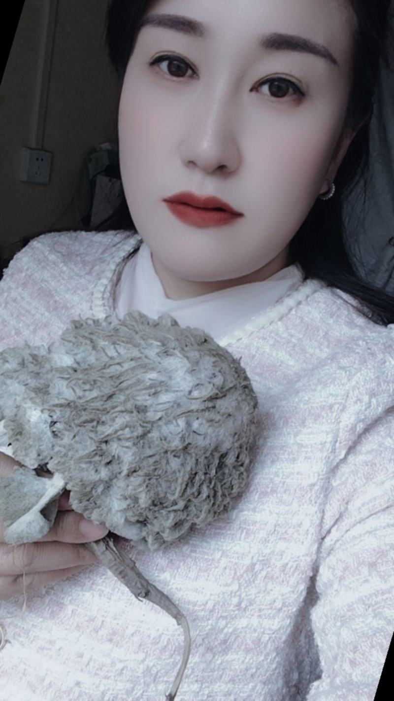 新鲜雪莲