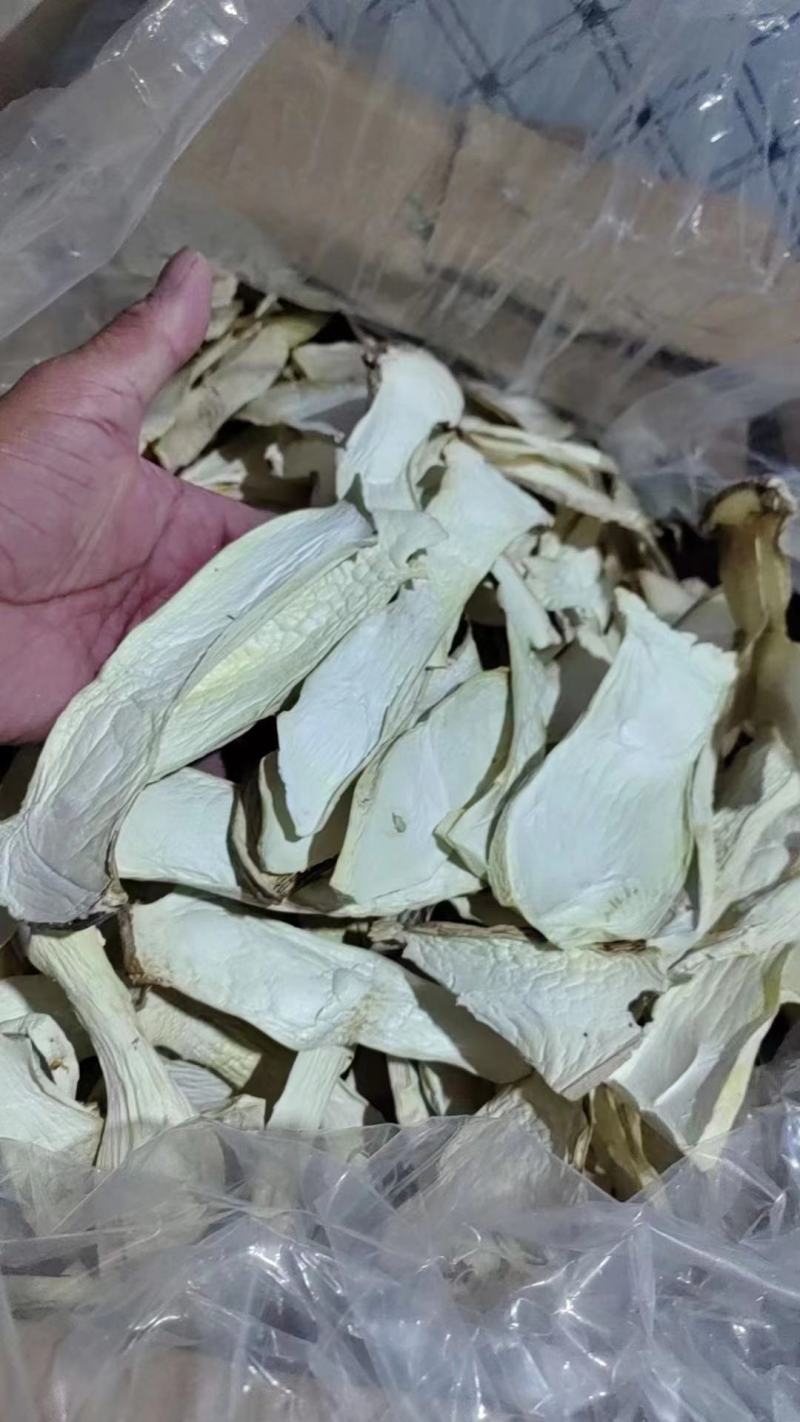 杏鲍菇产地直销批发小片干货中片大片新鲜烘干精选菌菇土特产
